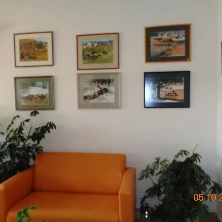 شقة فندقية Forest View جوفيدارتسي